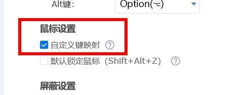 ToDesk远程控制如何设置自定义键映射?ToDesk远程控制设置自定义键映射的方法截图