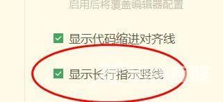 hbuilderx怎么开启显示长行指示竖线？hbuilderx开启显示长行指示竖线教程截图