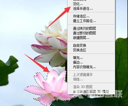 photoshop cs6羽化用不了怎么办?photoshop cs6羽化用不了的解决方法截图